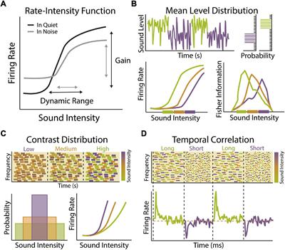 Hearing in Complex Environments: Auditory Gain Control, Attention, and Hearing Loss